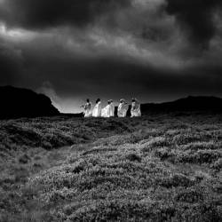 Trudger : Motionless in Dirt